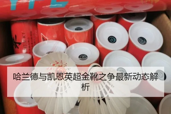 哈兰德与凯恩英超金靴之争最新动态解析